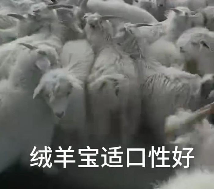 360截图20231107092842311.jpg